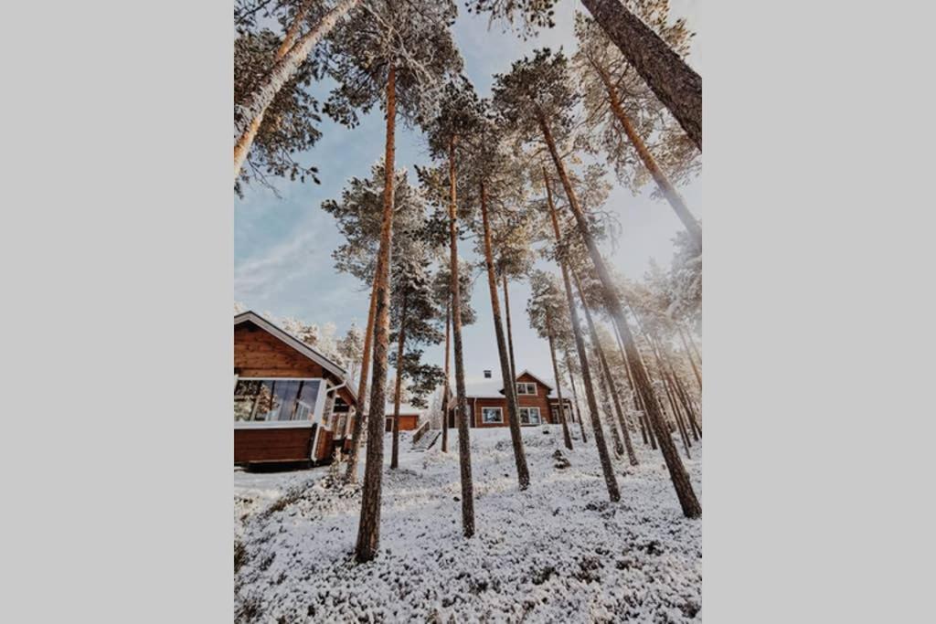 Autumn Leaf Ivalo Villa Exterior photo